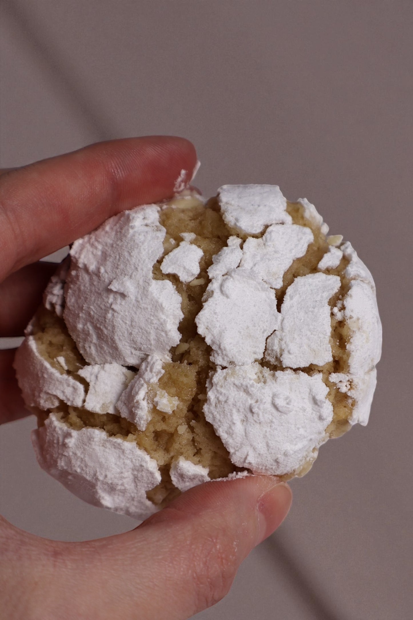 GALLETAS for life (libro digital)