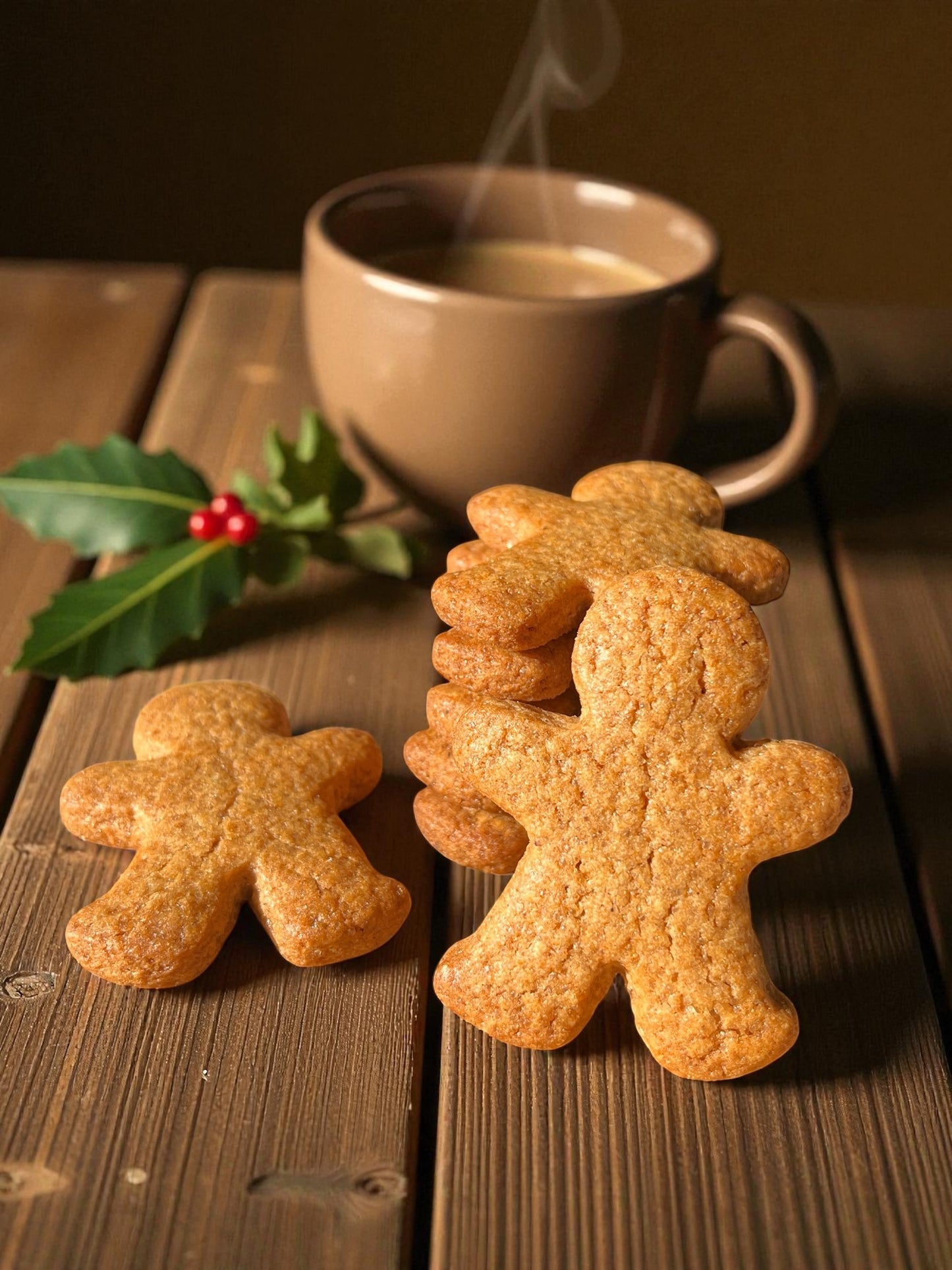 Galletas NAVIDAD (libro digital)