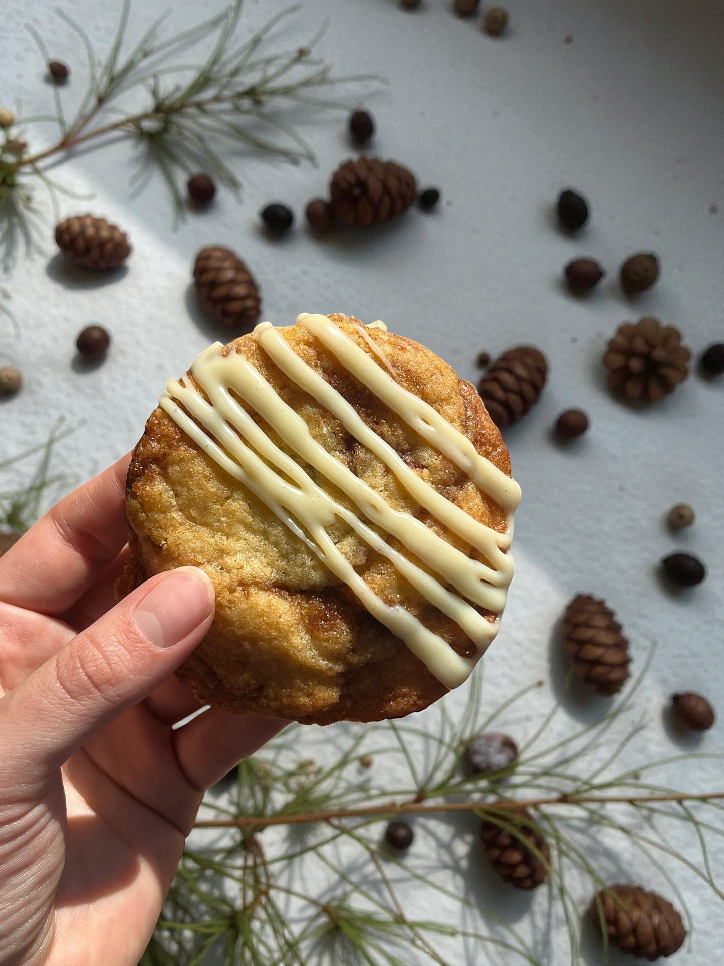 Galletas NAVIDAD (libro digital)