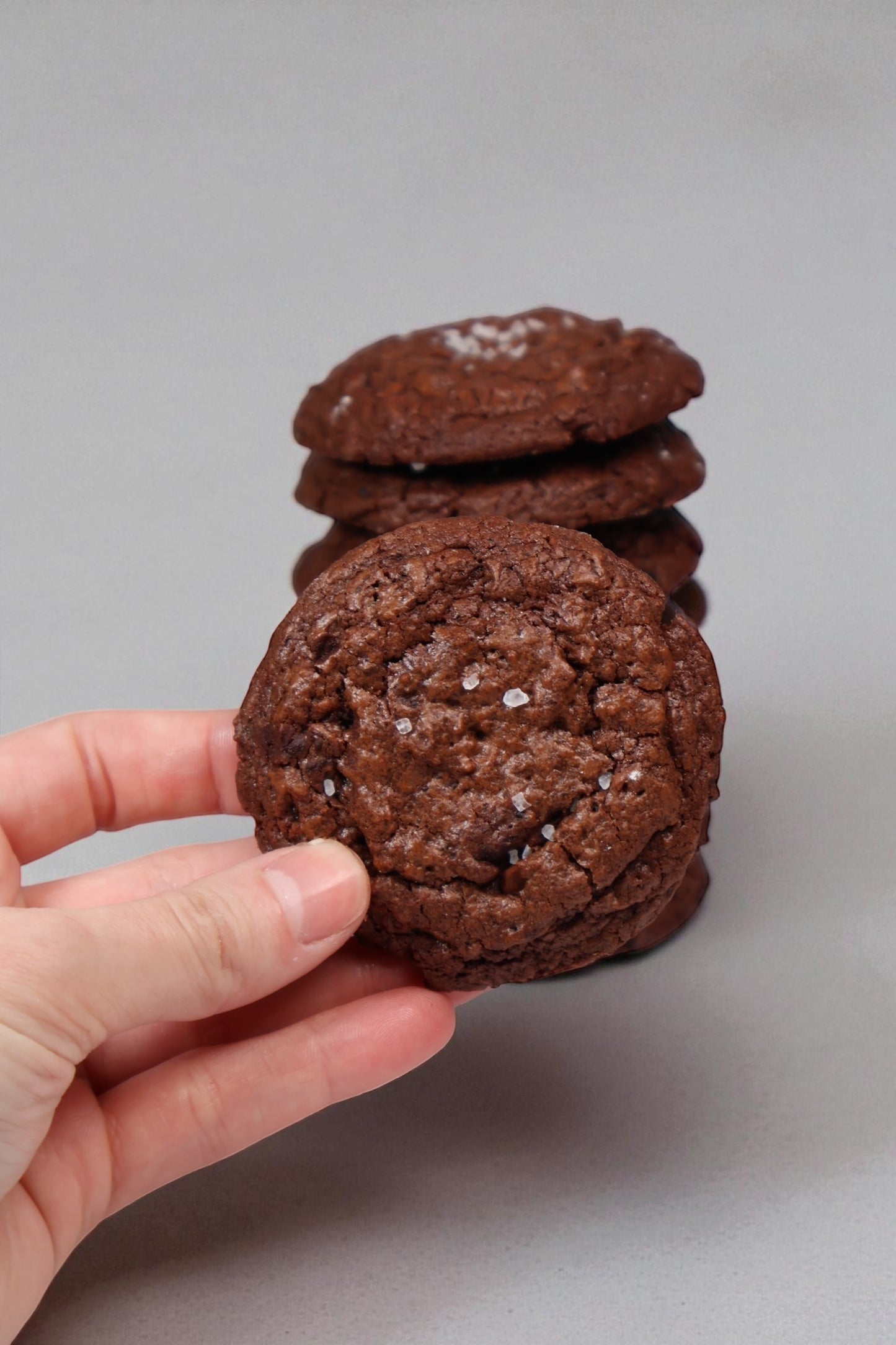 COMBO 30 Galletas for Life + 9 galletas NAVIDAD (libros digitales)