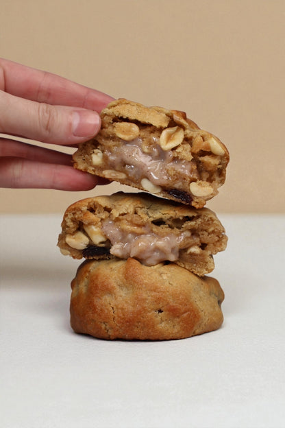 COMBO 30 Galletas for Life + 9 galletas NAVIDAD (libros digitales)