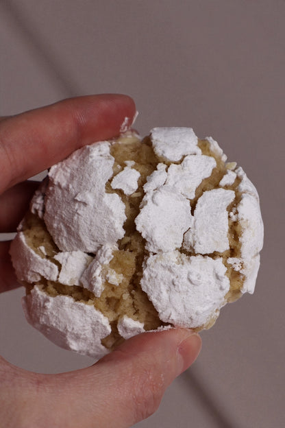 COMBO 30 Galletas for Life + 9 galletas NAVIDAD (libros digitales)